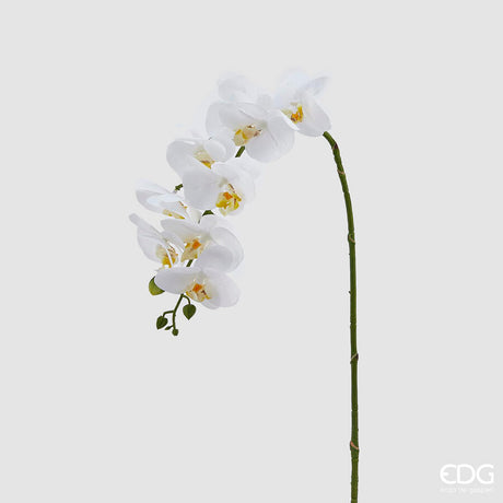 edg enzo de gasperi edg enzo de gasperi orchidea phalaenopsis real ramo artificiale h 76 cm white ean 8054184754152
