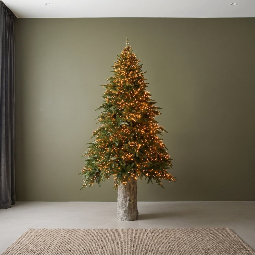 Alberi