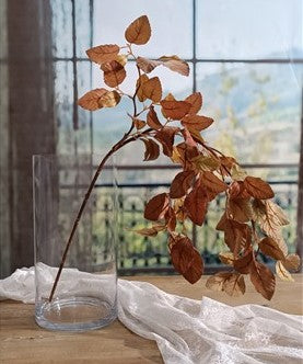 due esse distribuzioni due esse distribuzioni vaso cilindro h 38 cm d 20 cm vetro natural scatola regalo ean 8034048464717